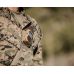 Метеостанция Kestrel 5700 Elite Applied Ballistics с Bluetooth (TAN)