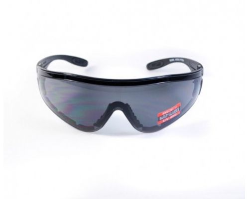 Очки защитные с уплотнителем Global Vision Python (RattleSnake) (gray) Anti-Fog, серые