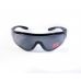Очки защитные с уплотнителем Global Vision Python (RattleSnake) (gray) Anti-Fog, серые
