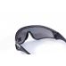 Очки защитные с уплотнителем Global Vision Python (RattleSnake) (gray) Anti-Fog, серые